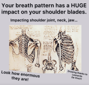 Impact of breath pattern on shoulder blades
